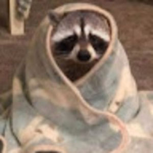 Meet your Posher, Aida